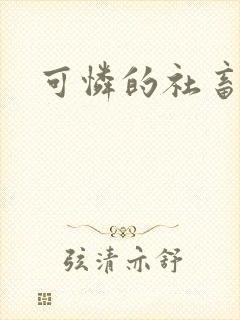 可怜的社畜分手