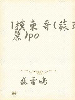 l模东哥(苏玛丽)po