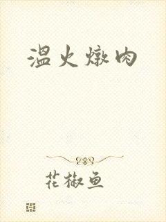温火炖肉