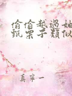 偷偷越过她by甄栗子类似小说