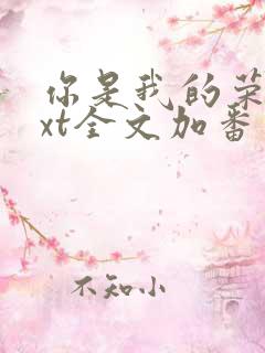 你是我的荣耀txt全文加番外