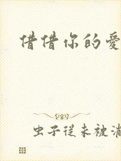 借借你的爱