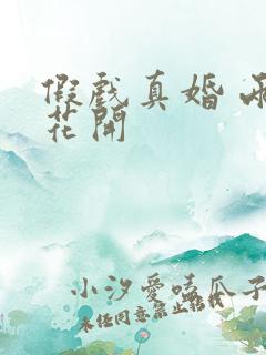 假戏真婚 两生花开