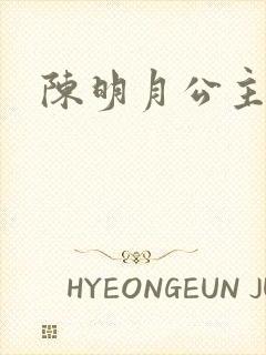陈明月公主之夜