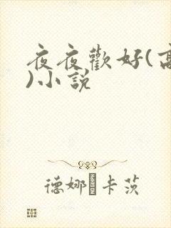 夜夜欢好(高h)小说