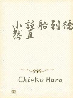 小说船到桥头自然直