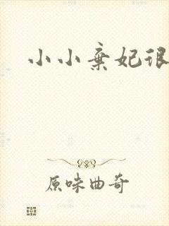 小小弃妃很倾城