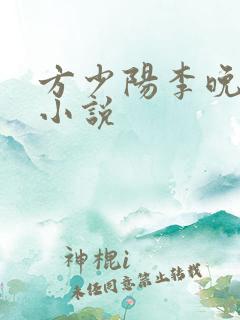方少阳李晚晴的小说