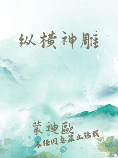 纵横神雕
