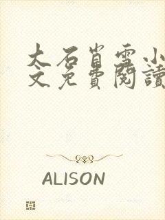 大石肖雪小说全文免费阅读