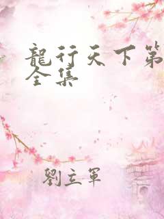 龙行天下第3部全集