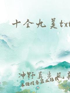 十全九美txt