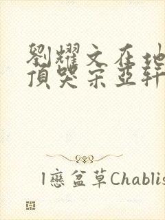 刘耀文在地下室顶哭宋亚轩