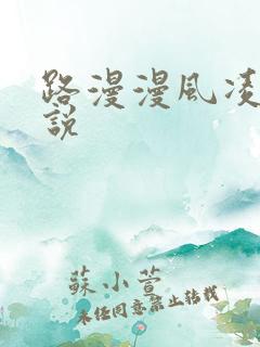 路漫漫风凌轩小说