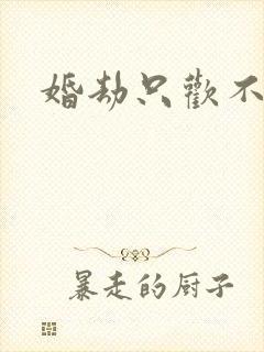 婚劫只欢不爱