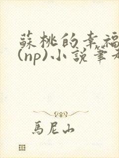 苏桃的幸福生活(np)小说笔趣阁沐沐