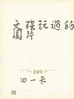 文强玩过的女人图片