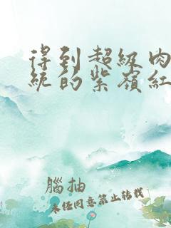 得到超级肉禽系统的紫岭红山