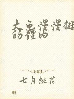 大龟慢慢挺进我的体内