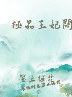 极品王妃闹王府