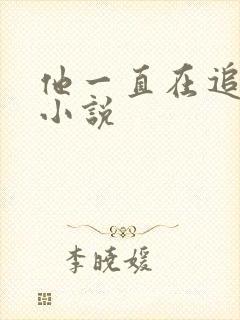 他一直在追初恋小说