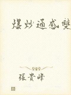 爆炒通感双胞胎