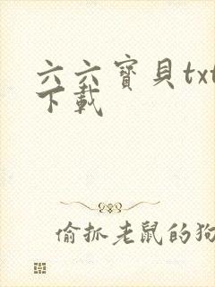 六六宝贝txt下载