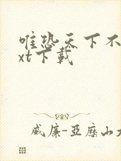 唯恐天下不乱txt下载