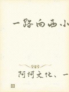 一路向西小说