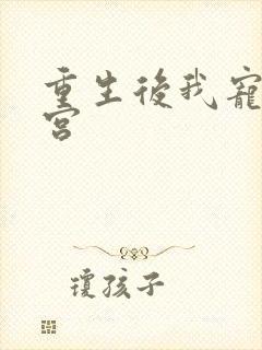 重生后我宠冠东宫