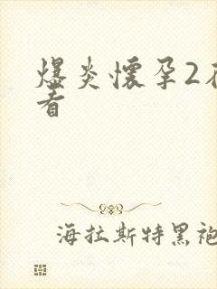 爆炎怀孕2在线看