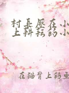 村长压在小娥身上耕耘的小说