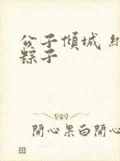 公子倾城 维和粽子