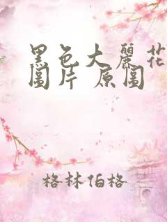 黑色大丽花真实图片 原图