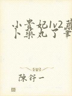 小贵妃1v2萝卜药丸了笔趣阁