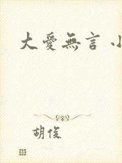 大爱无言 小说