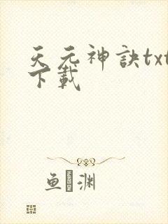 天元神诀txt下载