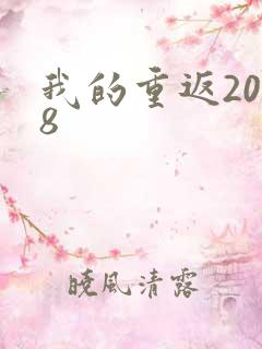 我的重返2008