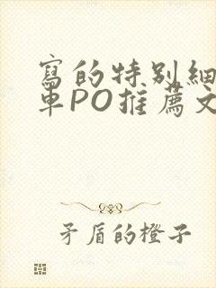 写的特别细的开车PO推荐文多人