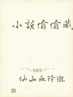 小说偷偷藏不住