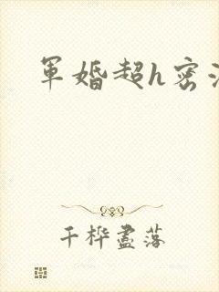 军婚超h密液