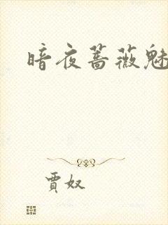 暗夜蔷薇魅