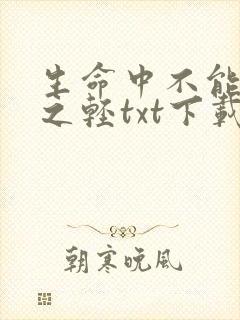生命中不能承受之轻txt下载