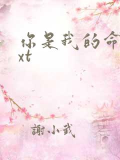 你是我的命运txt