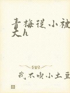 青梅从小被弄到大h