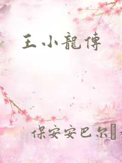 王小龙传