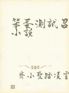 笨蛋测试召唤兽小说