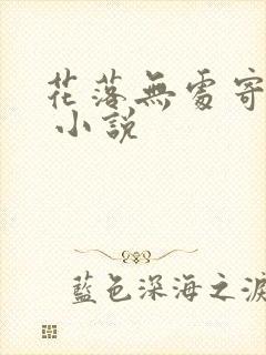 花落无处寄相思 小说