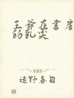 王爷在书房含她的乳尖