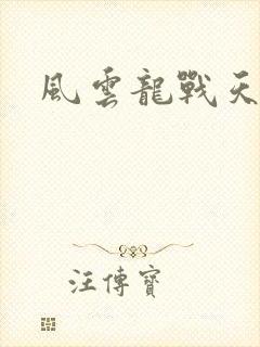 风云龙战天下